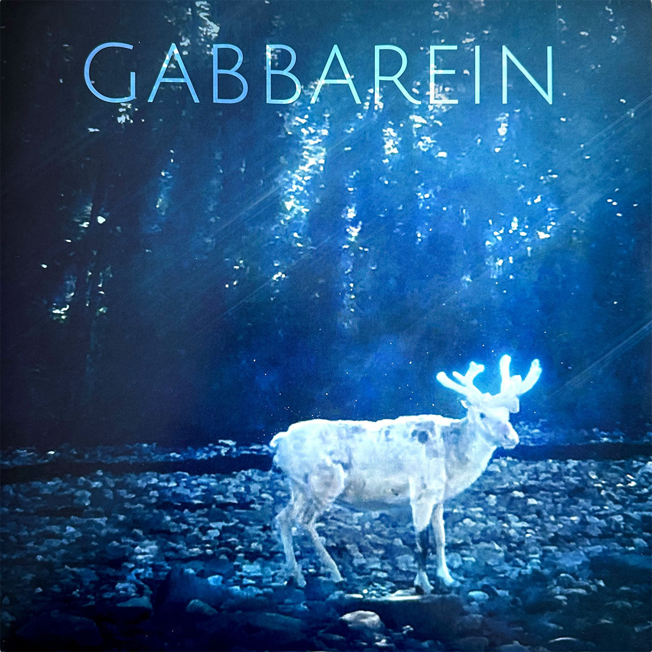 Gabbarein Double-Vinyl LP (Pre-Order)